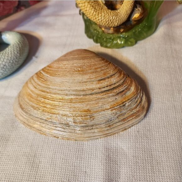 DECOUPAGE LEMON TREE CLAM SHELL - Picture 8 of 8